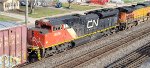 CN 8836